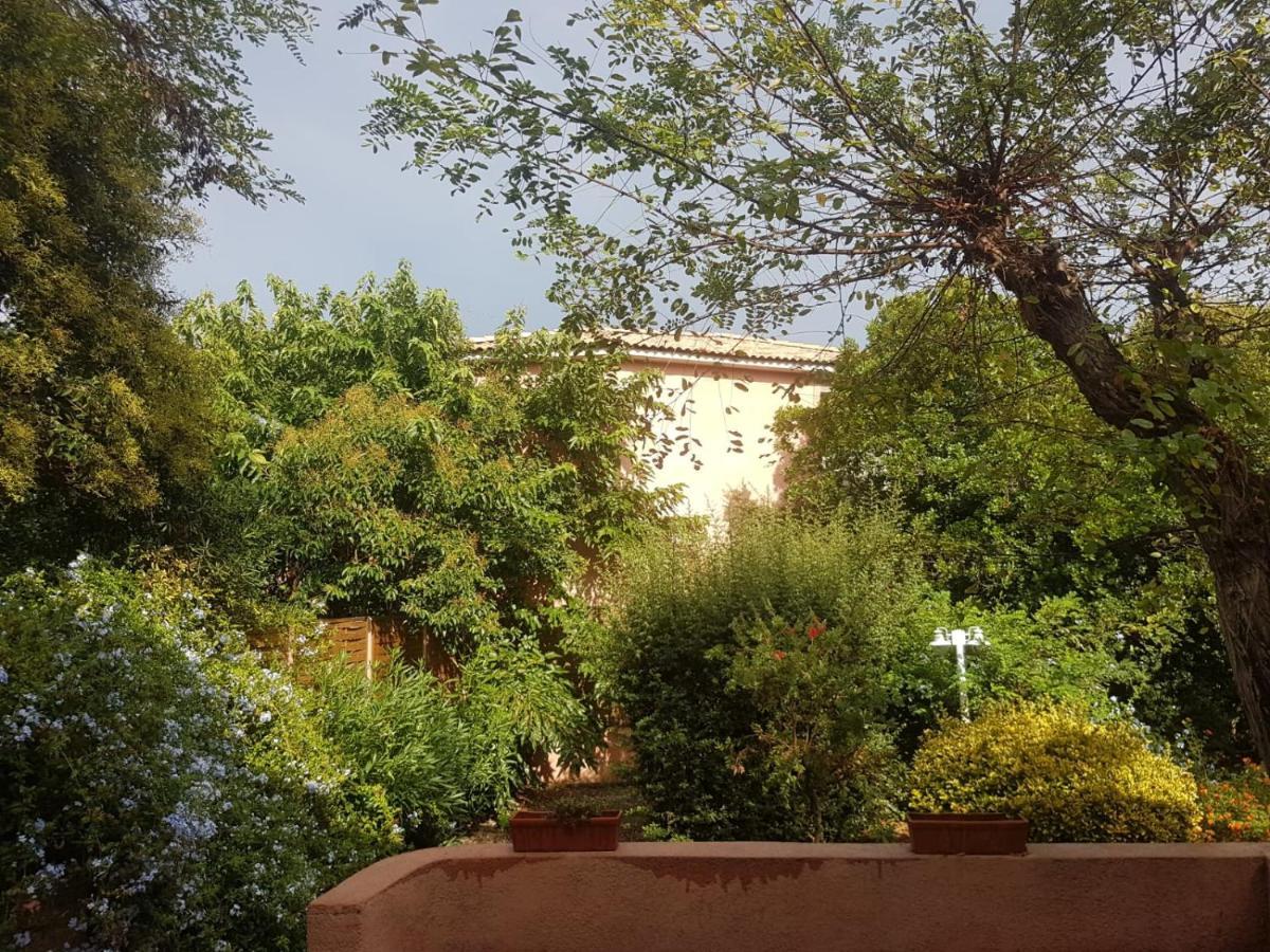 Le Clos Des Arbousiers Linguizzetta Exteriör bild