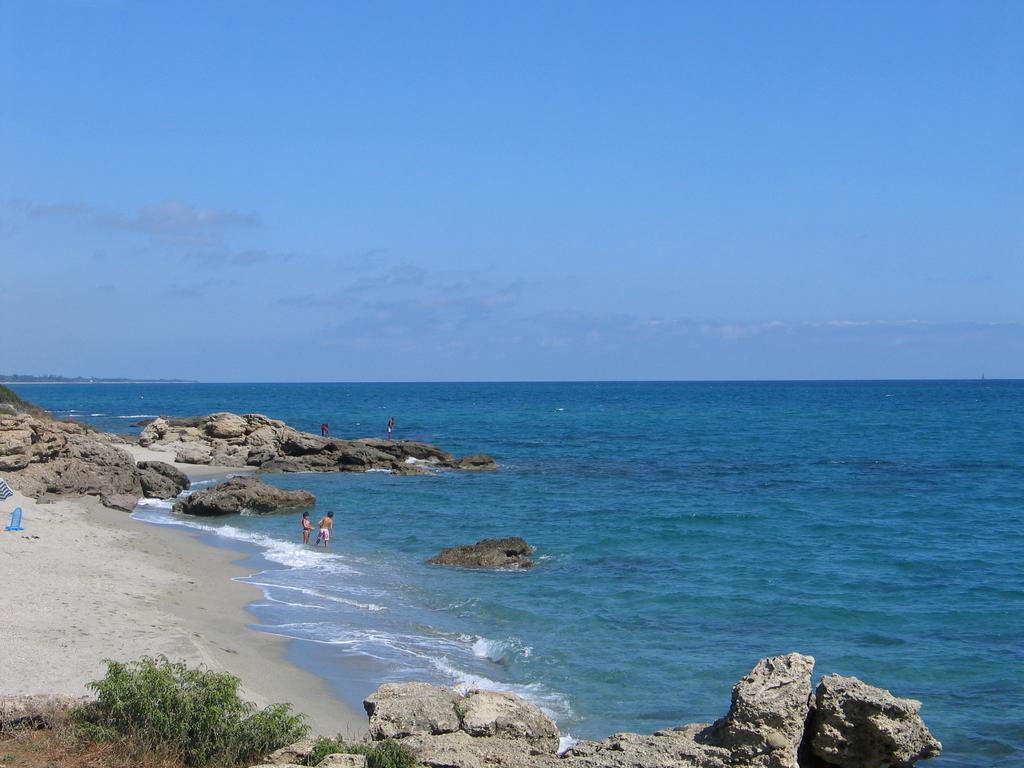 Le Clos Des Arbousiers Linguizzetta Exteriör bild