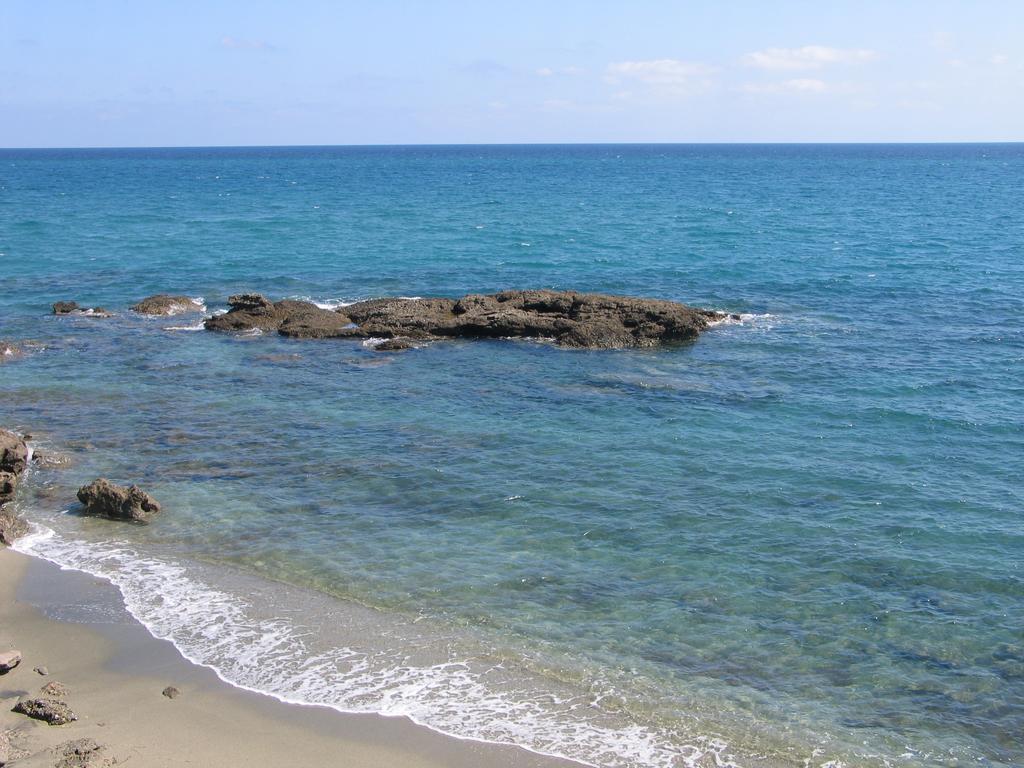 Le Clos Des Arbousiers Linguizzetta Exteriör bild